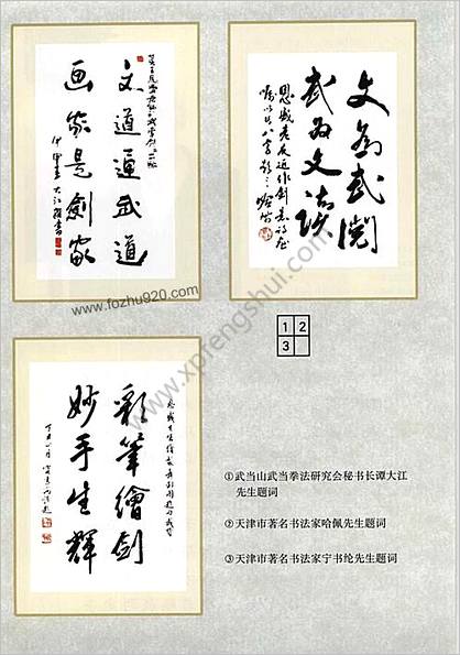 中国武学优秀传统拳械系列丛书-六路真迹武当剑艺