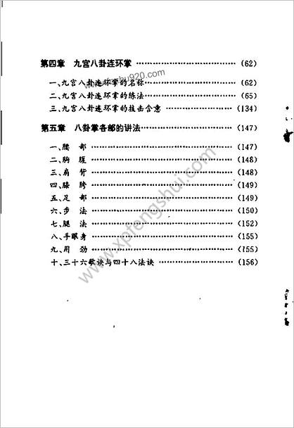 九宫八卦连环掌_吴岳