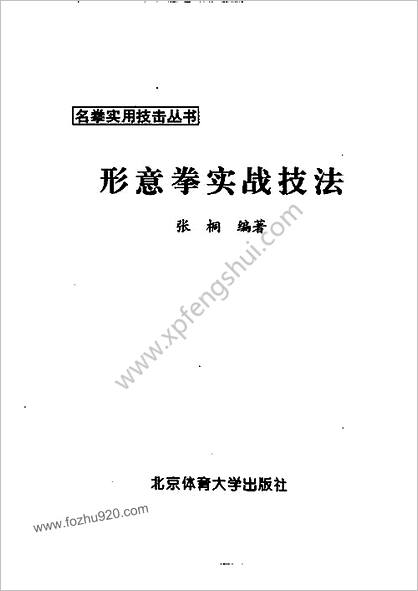 名拳实用技击_形意拳实战技法_张桐