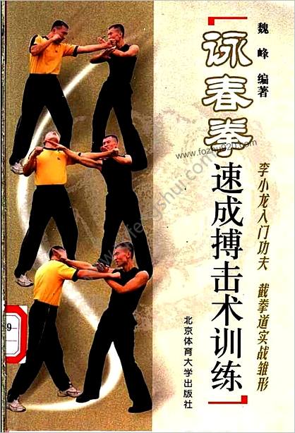 咏春拳速成搏击术训练