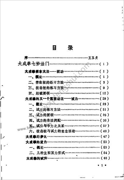 大成拳实作绝技_王选杰