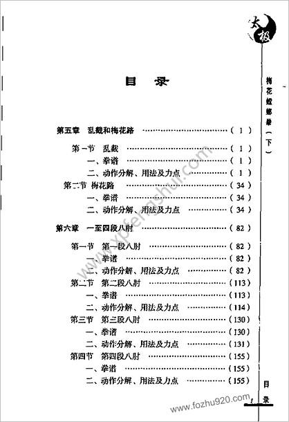 太极梅花螳螂拳_下张炳斗