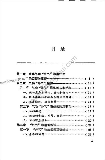 峨嵋临济气功_峨嵋外气诊治应用与硬气功_傅伟中_2