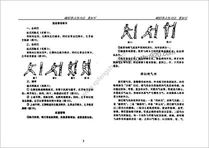 峨眉拳古传功法_董如军