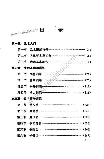 武功训练青少年武术入门