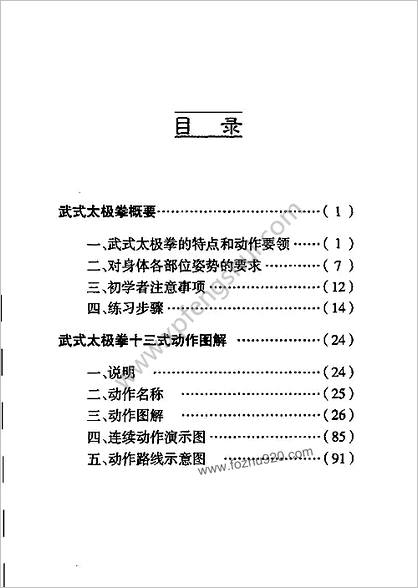 武式太极拳十三式_乔松茂