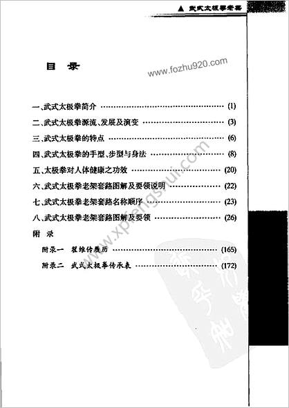 武式太极拳老架_翟维传