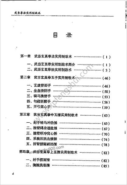 武当拳法实用制敌术