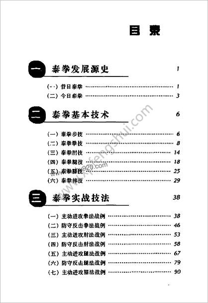 泰拳技巧图解_凶狠_惊险_神奇的