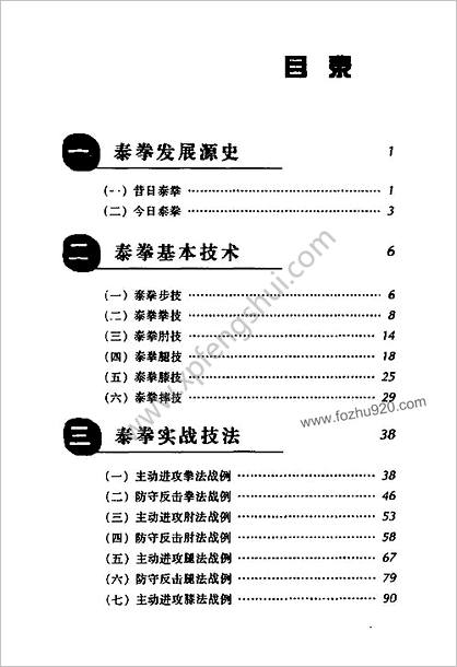 泰拳技巧图解_凶狠_惊险_神奇的搏击术_武兵编著