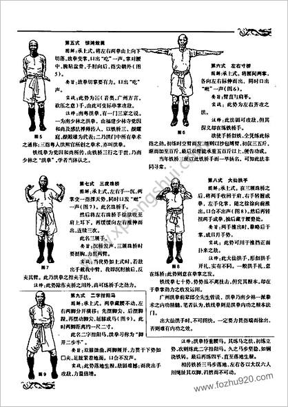 洪家铁线拳