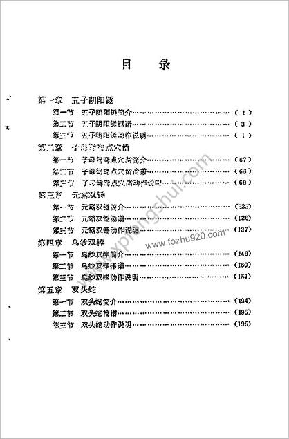 稀有双兵器套路精选_宁震