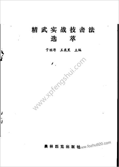 精武实战技击法选萃_90年