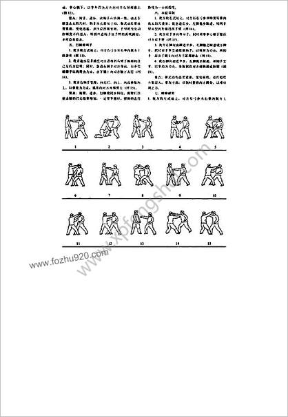 螳螂拳臂肘在实战中的应用