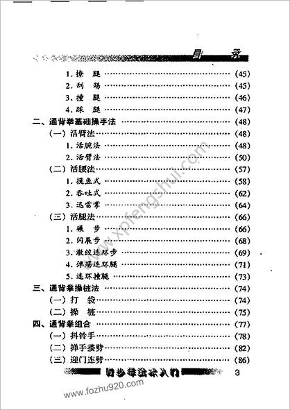 通背拳_迅疾冷杀的远距绝手.刘波