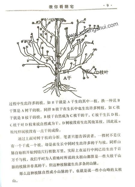 教你看阴宅_墓地风水必看