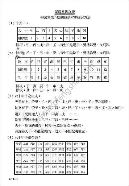 《十八《飞星紫微斗数》真谛》