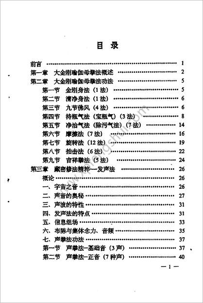 张伟杰-藏密无上瑜伽系列功法（四）大金刚瑜伽母拳法