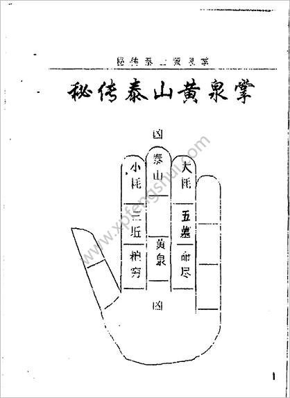 《秘传泰山黄泉掌》