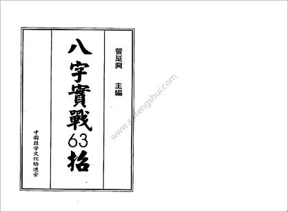 《八字实战63招》管延兴