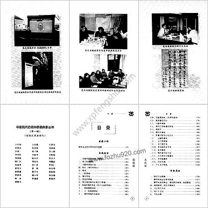 中国现代百名中医临床家丛书危北海