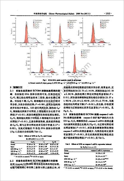 H2O2损伤的ECV304细胞的细胞周期与凋亡的影响