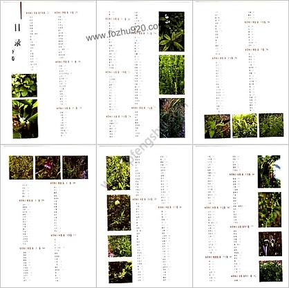 .本草纲目彩色图鉴+_上卷