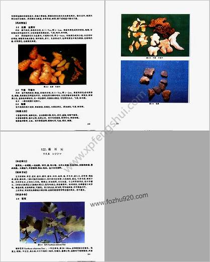 中医药版.神农本草经.彩色图谱_残中品