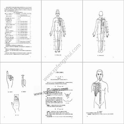 中医--标准针灸穴位图册_1