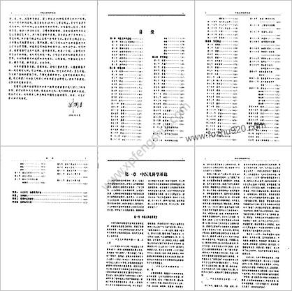 中医临床大系-中医儿科治疗大成