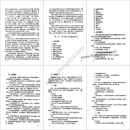 中医名家学术经验集2倒悬推拿疗法_严金林