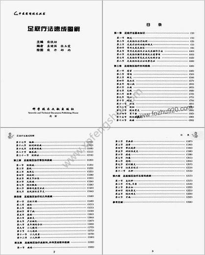 中医实用技术丛书-足底疗法速成图解.高清