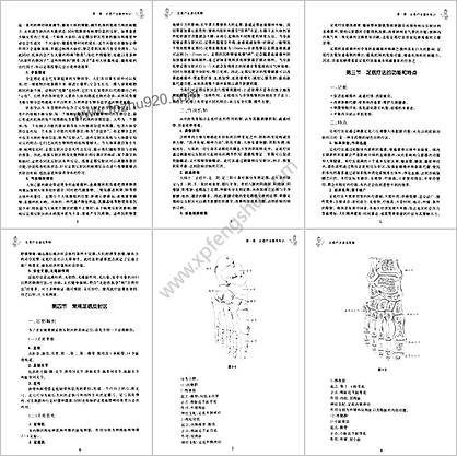 中医实用技术丛书-足底疗法速成图解.高清