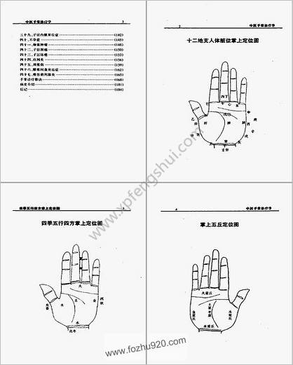 中医手掌诊疗学_周鑫