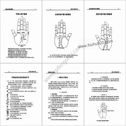 中医手掌诊疗学_周鑫