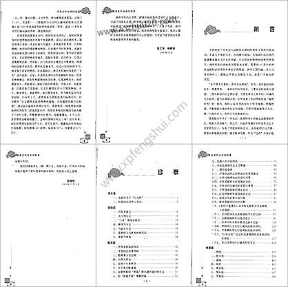 中医皮科临床经验集