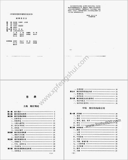 中医眼疗大全