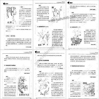 中医老偏方二