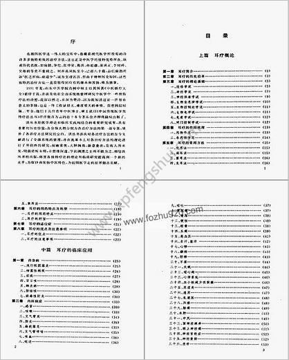 中医耳疗法大全_高树中