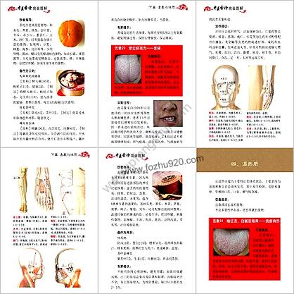 中医舌诊完全图解_吴中朝.中.超高清印刷版-四