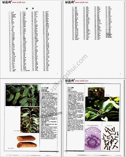 中华人民共和国药典中药彩色图集1995年版