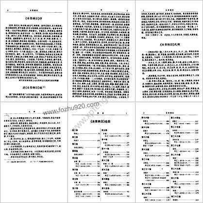 中华医书集成_第6册_本草类_2