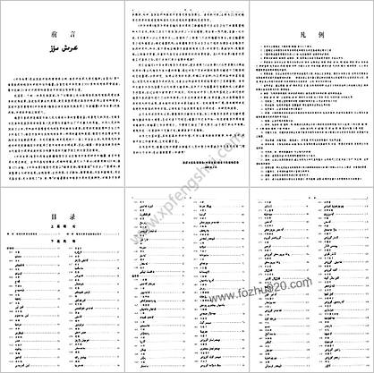 中华本草-维吾尔药卷.高清