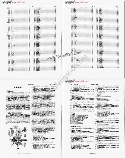 中华本草第12卷4.713-4.999_3484-3828