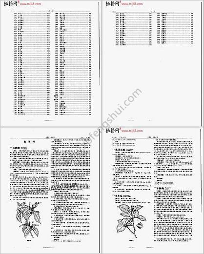 中华本草第18卷6.397-6.608_5737-5998