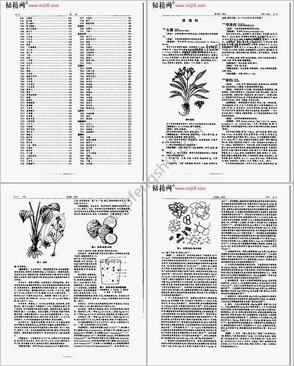 中华本草第22卷8.003-8.284_7092-7343
