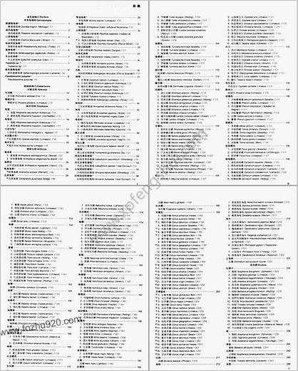 中华海洋本草-第3卷-海洋无脊椎动物药