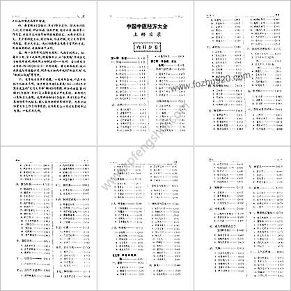 中国中医秘方大全-_上册-内科分卷