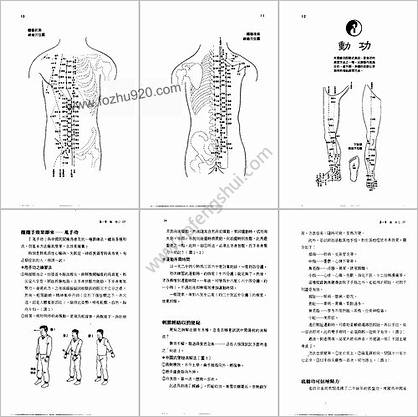 中国健身法_梅隆