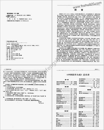 中国医学大成_九医论分册